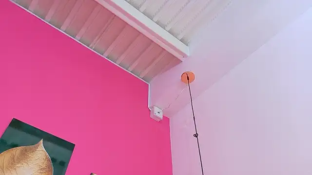 kinkyandsavage webcam