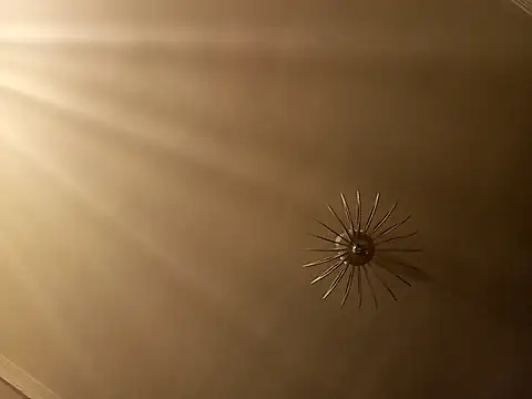 sexypaar93 - SexyPaar93's free webcam - UK Sex Cams