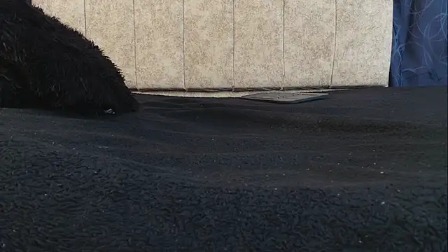 Big_Ass_Dirtyy webcam