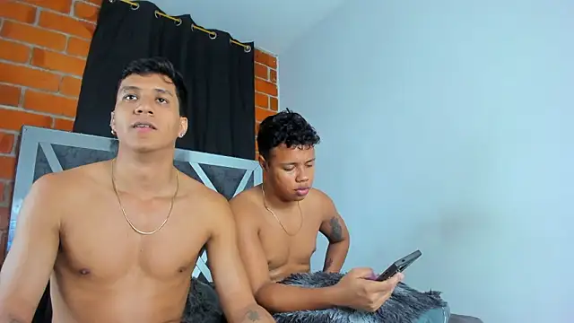 MaelSebasAndRobert1 webcam