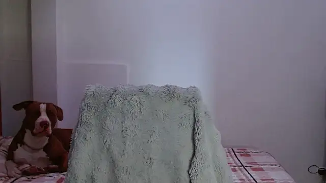 MadisonCambel webcam