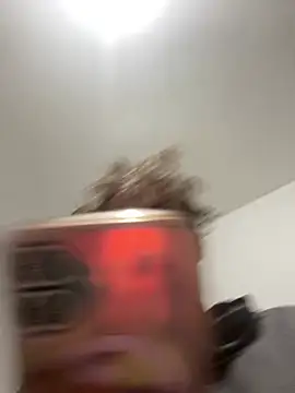 Webcam Model (ISIS17_EF) is live