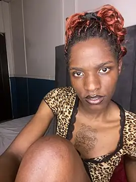 Trans_fairy Live Webcam on Stripchat