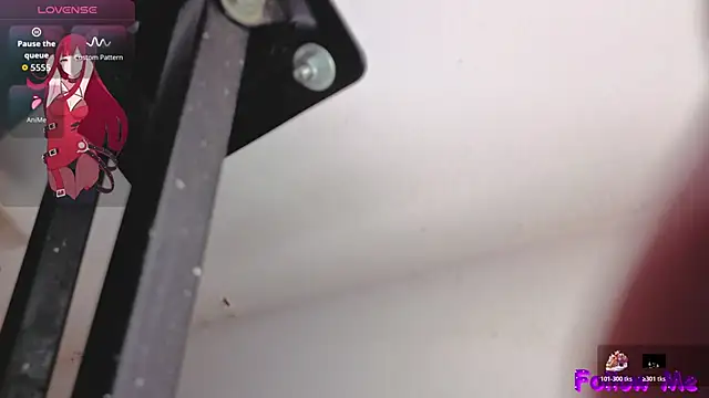 bianchi_dupont04 webcam