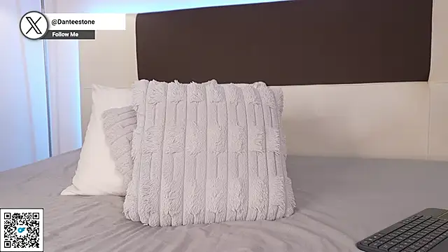 DanteeStone webcam