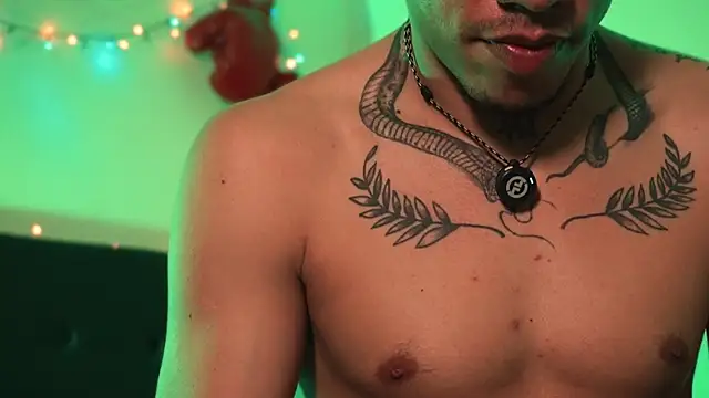 AlphaMasterXxx webcam