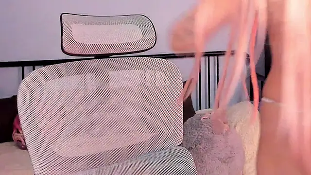 Sigma_Meowgic webcam