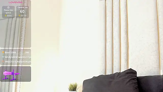 Liincostelloo webcam