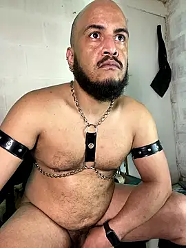 the_master_foal_ webcam