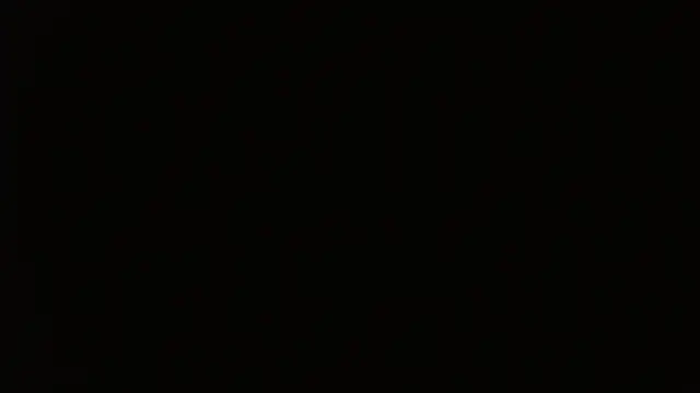 petitoiseau67 webcam