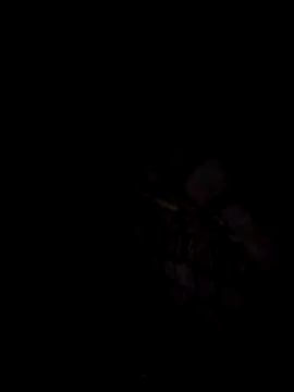 Pornstarman19 webcam