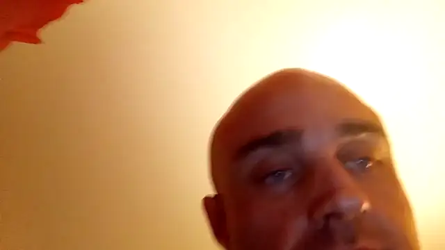 Bulbasaurisme webcam