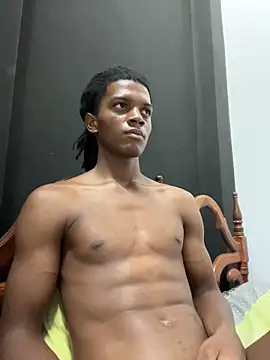 KingBlack25cm webcam