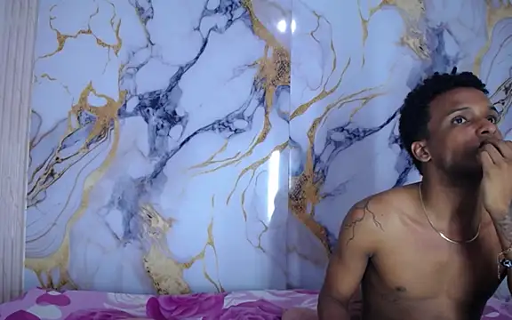 Damian_and_theo webcam