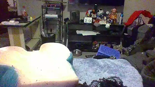 cumgitsumdic webcam