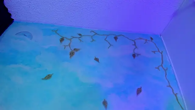 SaturnooStonee webcam