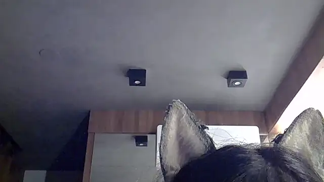 SkinnyKitten webcam