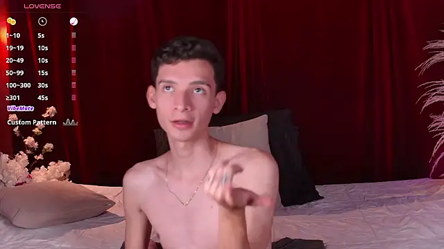 VicenteFerrer webcam