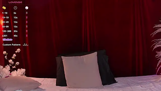 VicenteFerrer webcam