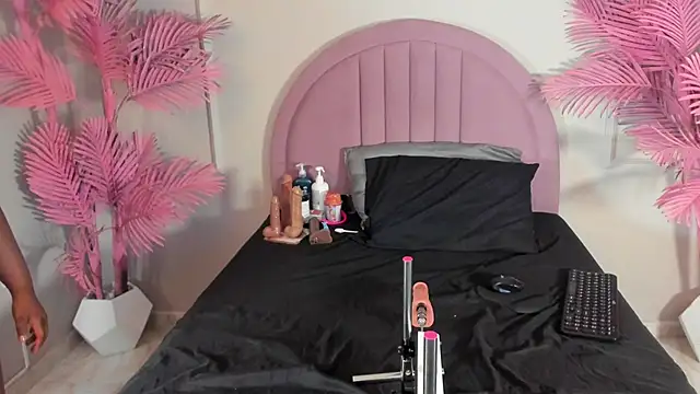 Tamaramilleer webcam