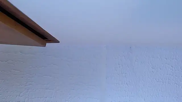 evans__collin webcam