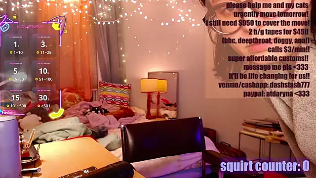 dashcrashsmash webcam