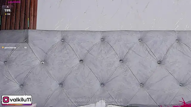 valkilu11 webcam