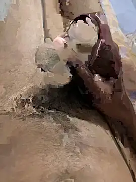 Novinho_Pauzudo_18cm webcam