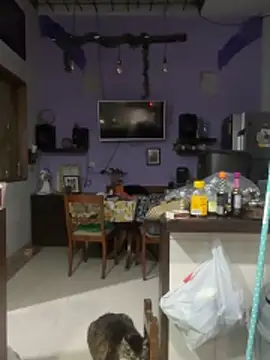 Sophia_Weest99 webcam