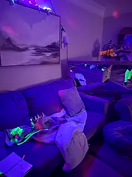 TeacherCreator webcam