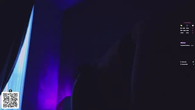 VirginiaHouston webcam