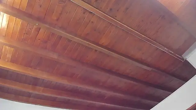 kaleb_violeta_1 webcam