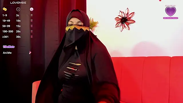 bashiraghazali_ webcam