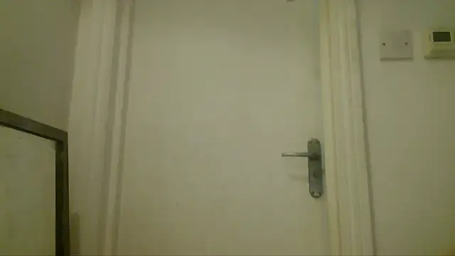 mista_sista_fista webcam