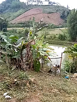 happy_sweet1 - Happy_sweet1's free webcam - UK Sex Cams