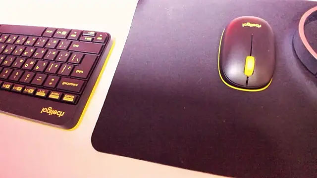 anastasha_hills webcam