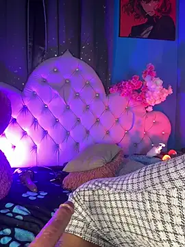 Naugth_channel_ts webcam