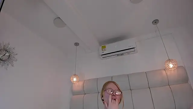 Alexa_Handler webcam