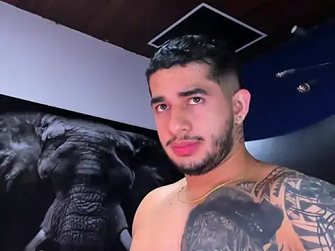 king_falconer webcam