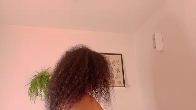 memphiswilliam webcam