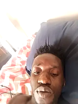 UnmeltedDryer webcam