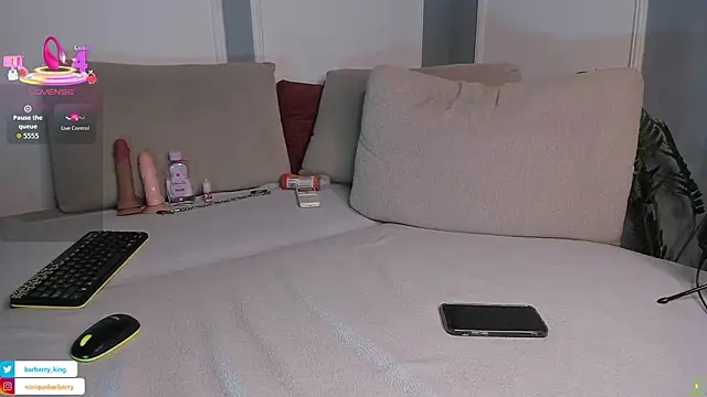 EnriqueBarberry webcam