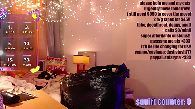 dashcrashsmash webcam