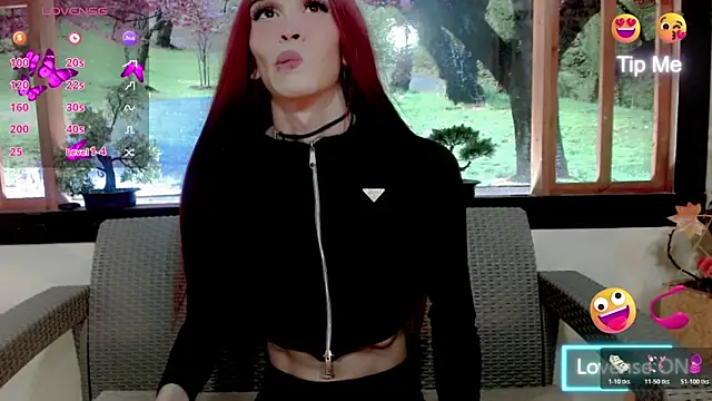 britanny_noroeste webcam