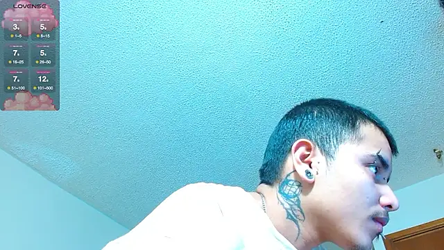 Hgp3riodictabl3 webcam