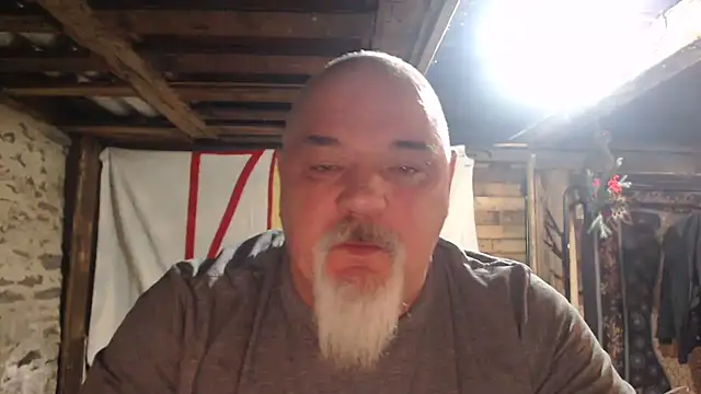 Newfiesausage1972 webcam