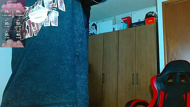 Hgp3riodictabl3 webcam