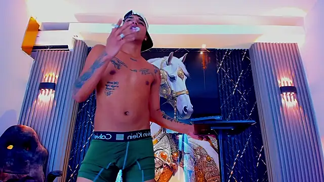 the_knights_of_the_night webcam