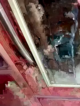 Ayush_pussy_fucker webcam