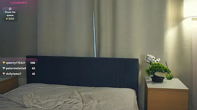 PatricePerlow webcam